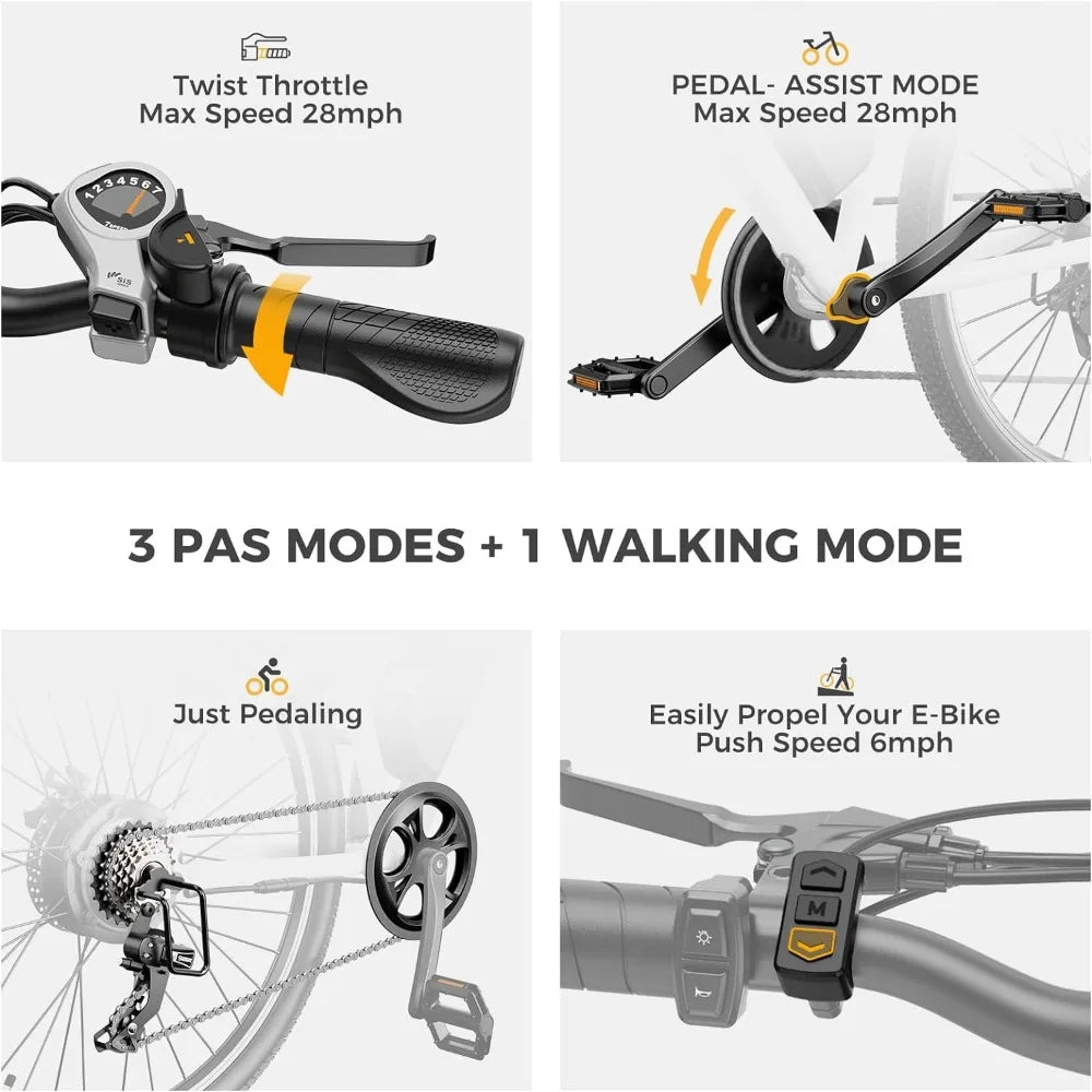 Electric Bike with 750W Peak Motor