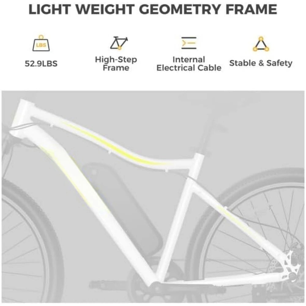 Electric Bike with 750W Peak Motor