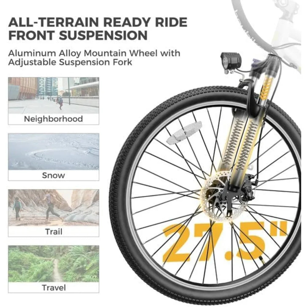 Electric Bike with 750W Peak Motor