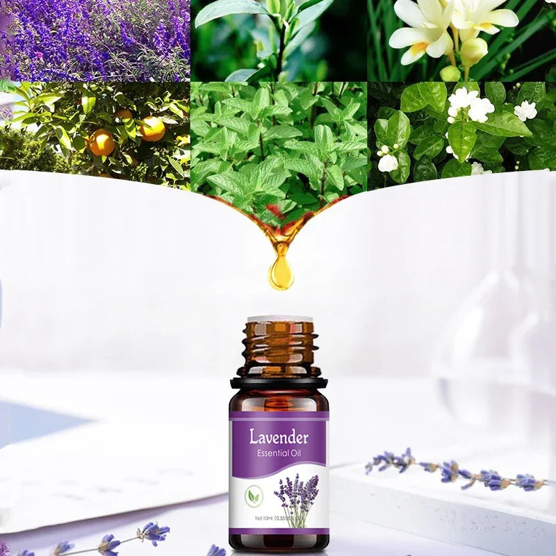 Plant Aromatherapy Oil for Diffuser Humidifier Household